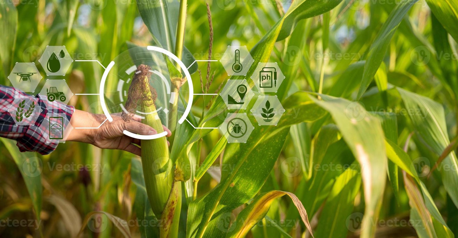Kwathu Smart Innovation Farm: Integrating Technology with Agriculture